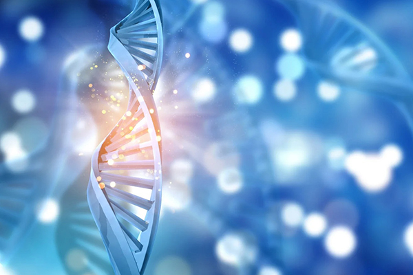 「首届粤港澳医疗技术创新与转化